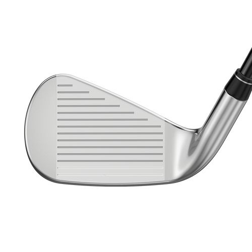 Great Big Bertha Irons - View 3