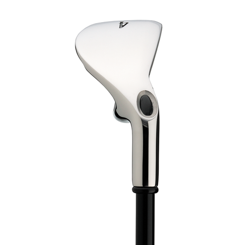 Big Bertha Irons (2008) - View 4