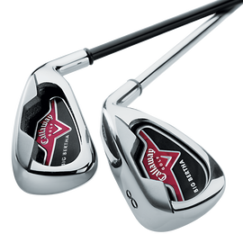 Big Bertha Irons (2006)