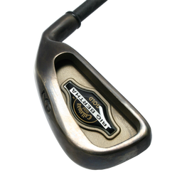 Big Bertha Gold Series Irons