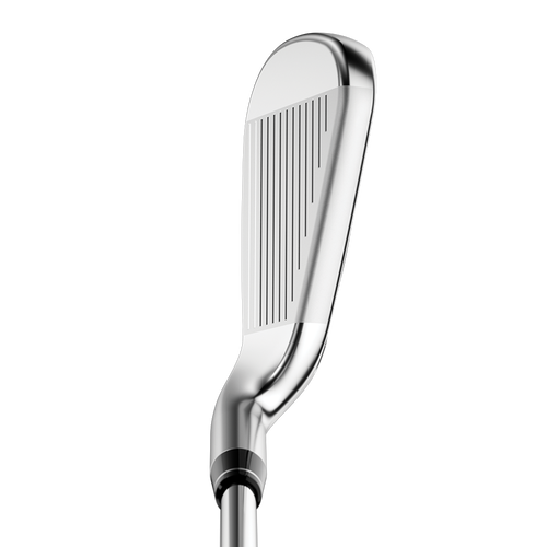 Big Bertha B21 Irons - View 2