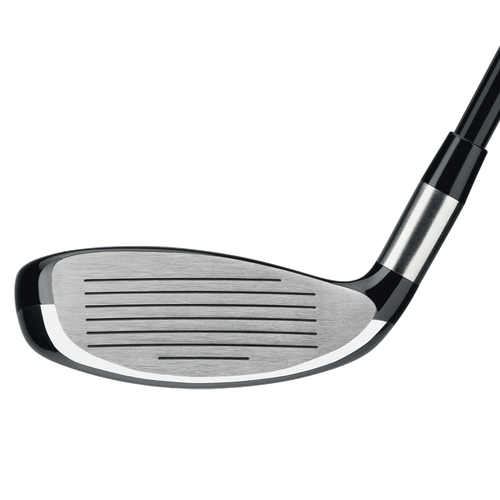 Edge Hybrids - View 2