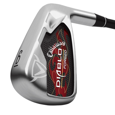 Diablo Forged Irons