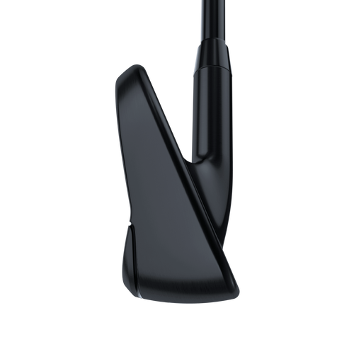 Paradym Ai Smoke Black Irons - View 4