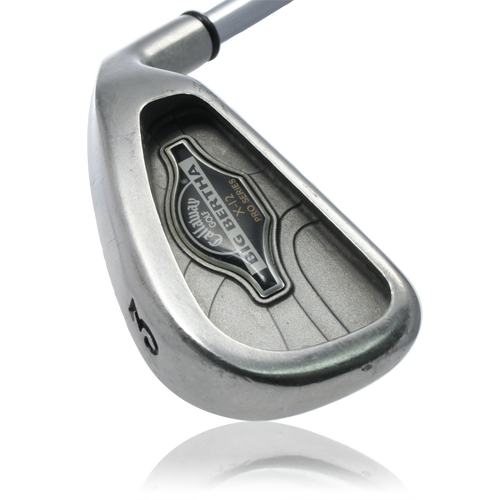 Big Bertha X-12 Pro Series Irons - View 1