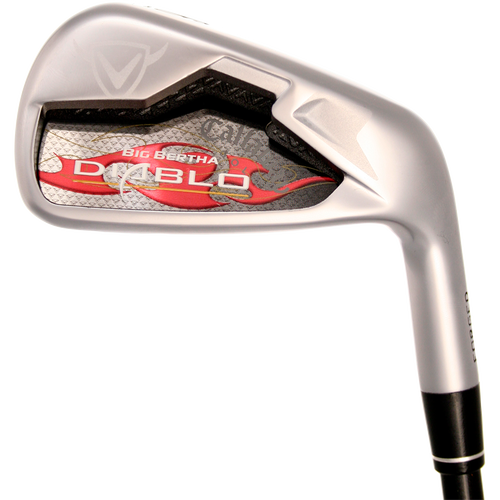 Big Bertha Diablo Forged Irons (European Version) - View 2