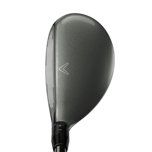 Great Big Bertha Hybrids - View 2