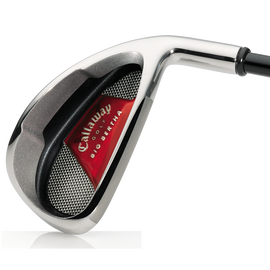 Big Bertha Irons (2008)