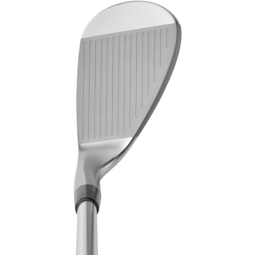 は自分にプチご褒美を Mizuno S23 Satin Chrome Wedges その他