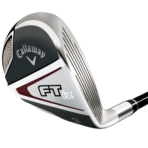 FT-iZ Hybrids - View 1