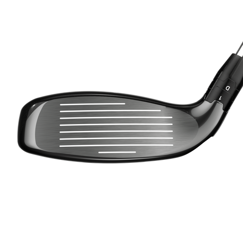 Big Bertha Hybrids - View 4