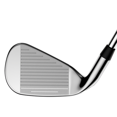 Steelhead XR Irons - View 2