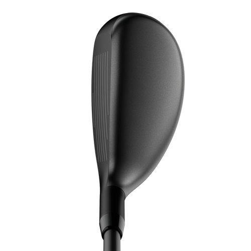 Apex Hybrids - View 3