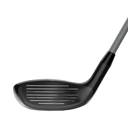 D7 Hybrids - View 2
