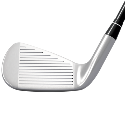 Diablo Forged Irons - View 3