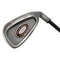 Great Big Bertha Irons