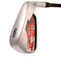 Big Bertha Diablo Forged Irons (European Version)